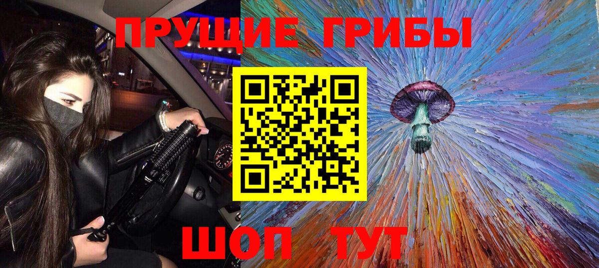 Черняховск  Галлюциногенные грибы MAGIC MUSHROOMS  Вход с VPN 