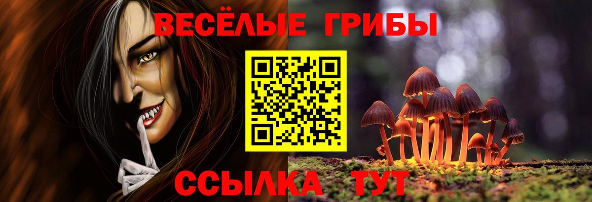 Галлюциногенные грибы GOLDEN TEACHER Черняховск